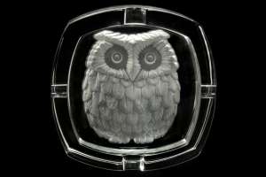 Arc International Cristal d'Arques Owl Ashtray