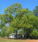 Centerview Missionary Baptist Church