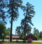 Pineland First Baptist Church