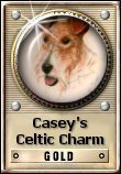 Casey's Celtic Charm Gold Award