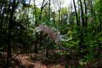 Wild Azalea Canyons