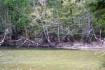 Beaver Lodge