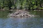 Beaver Lodge