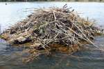 Beaver Lodge