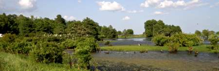 Toledo Bend Birding Trail