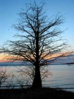 Toledo Bend Lake Sunrises and Sunsets