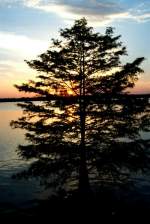 Toledo Bend Lake Sunrises and Sunsets