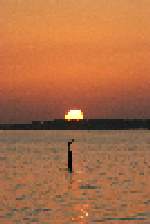 Toledo Bend Lake Sunsets
