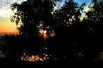 Toledo Bend Lake Sunsets