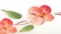 Gay Fad Peach Blossom