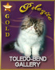 Pelaquite Persians Gold Award