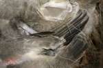 Titmouse Nest