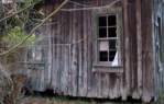 Miscellaneous Pictures
