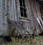 Miscellaneous Pictures