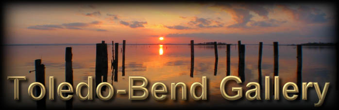Toledo Bend Lake Gallery of Photographs
