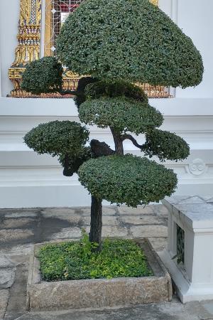 Wat Pho