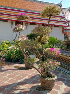Wat Pho