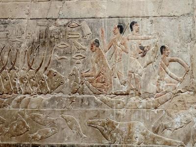 Tomb of Princess Seshseshet Idut