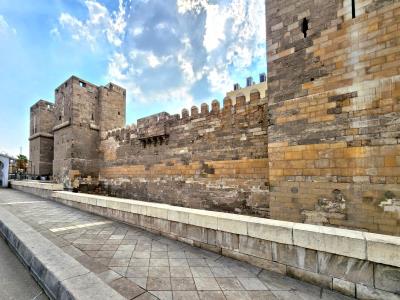 Bab al-Nasr & Wall