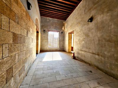 Prince Taz Palace