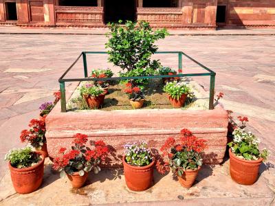 Jodhbai's Palace