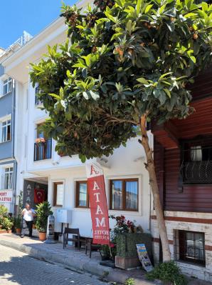 My Hotel