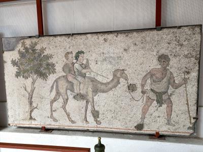 Great Palace Mosaics Museum