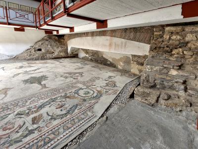 Great Palace Mosaics Museum