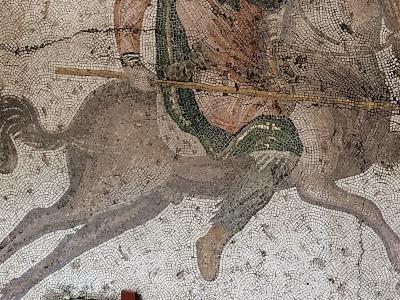 Great Palace Mosaics Museum