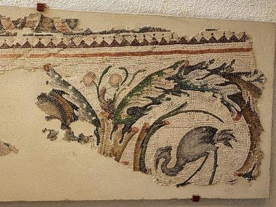Great Palace Mosaics Museum
