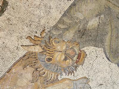 Great Palace Mosaics Museum