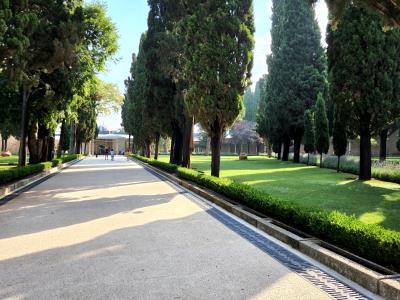 Topkapi Palace 2nd Courtyard Grounds
