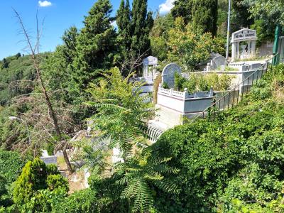 Eyup Sultan Mezarligi (Cemetery)
