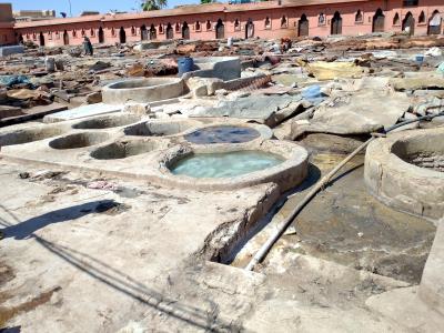 Marrakech Tannery