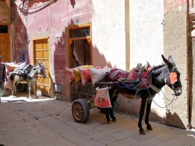 The Medina of Marrakech