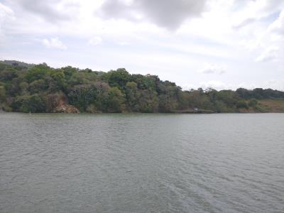 Side of Canal
