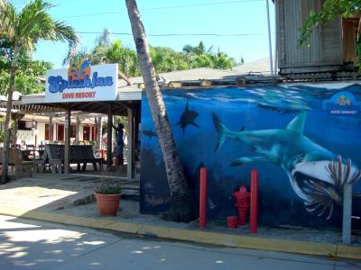 Roatan Dive Resort