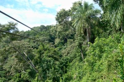 Ziplining