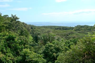 Ziplining