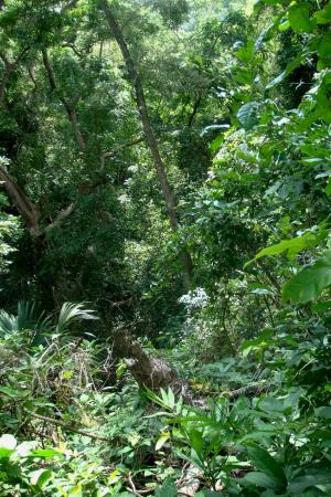 Eco-Trail Hike
