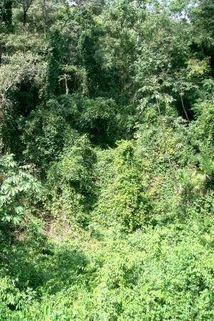 Eco-Trail Hike