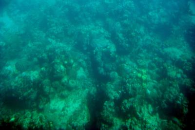 Glass Bottom Boat