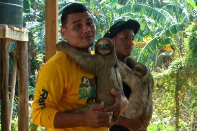 Sloth