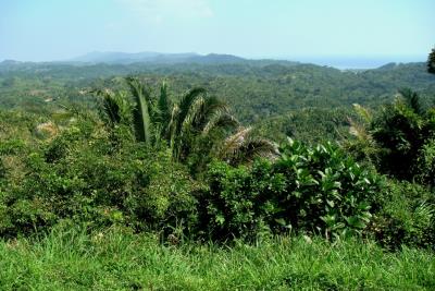 Roatan Island