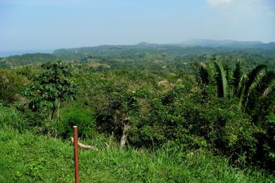 Roatan Island