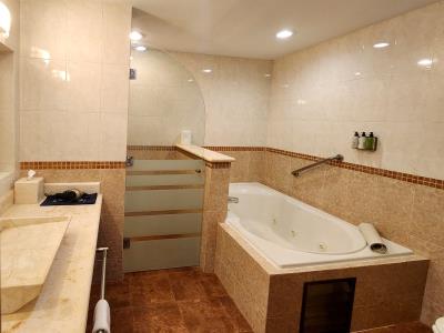 Wyndham Merida Hotel
