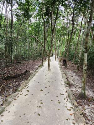 Calakmul World Heritage Site